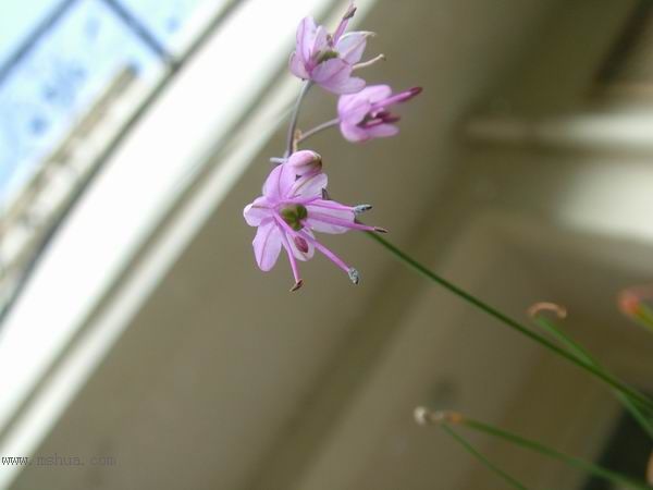 2005�Ҽҵ����