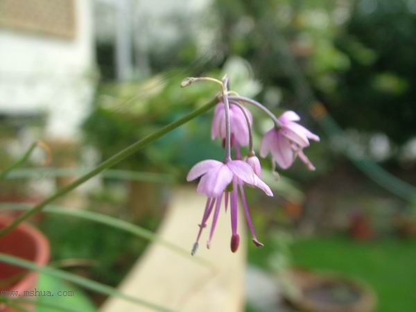 2005�Ҽҵ����