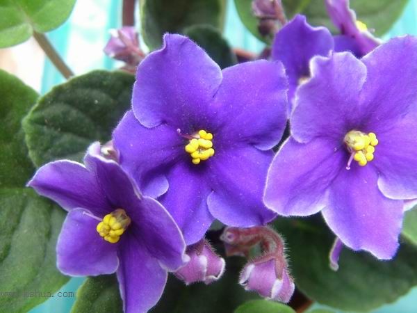 żҲ��������---���ҵ�����������ļ����գ�