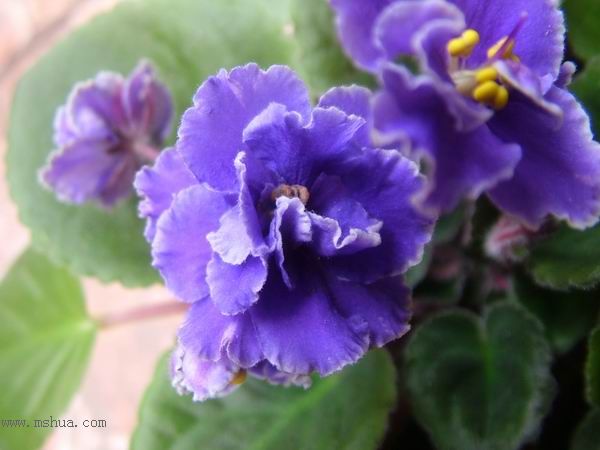 żҲ��������---���ҵ�����������ļ����գ�