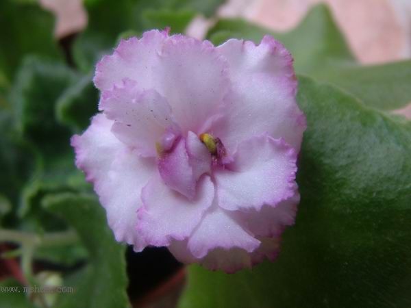 żҲ��������---���ҵ�����������ļ����գ�