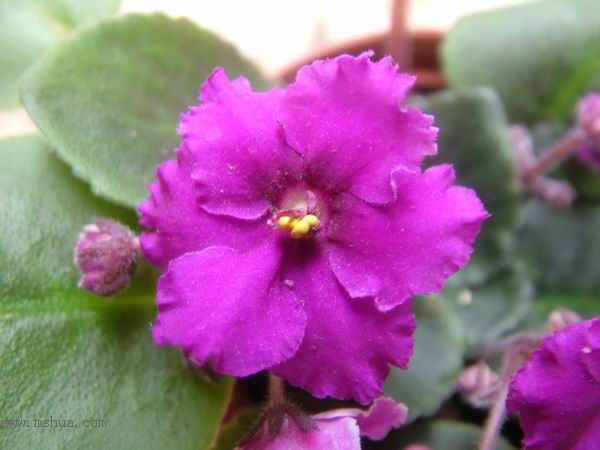 żҲ��������---���ҵ�����������ļ����գ�