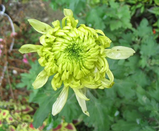 ����һ��ջ��ͷף�pp��P2��