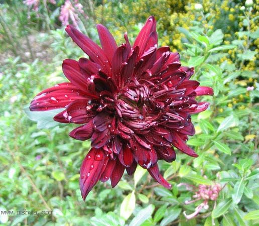 ����һ��ջ��ͷף�pp��P2��