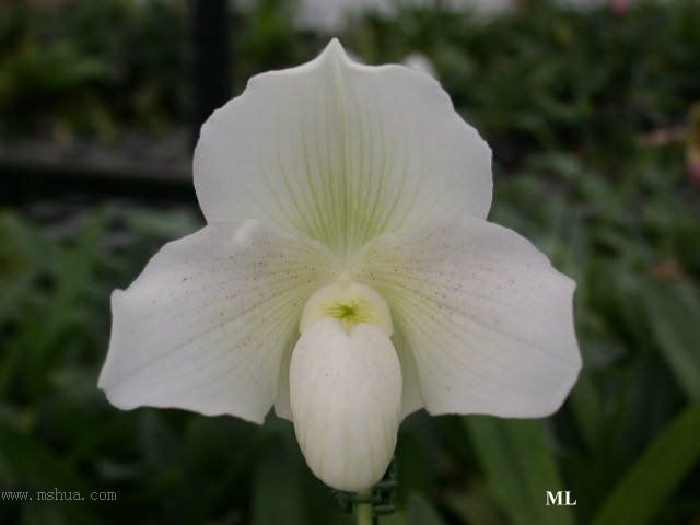 �Ɍ���Ь�m