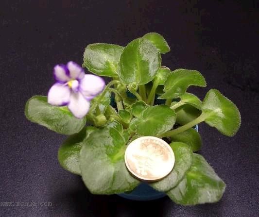 ���������ˣ��ʹ������յ��ˣ�