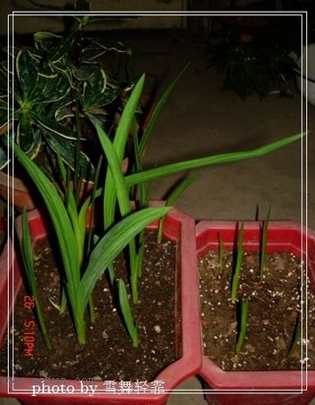 ����β��ѿ����G������Ŷ~��