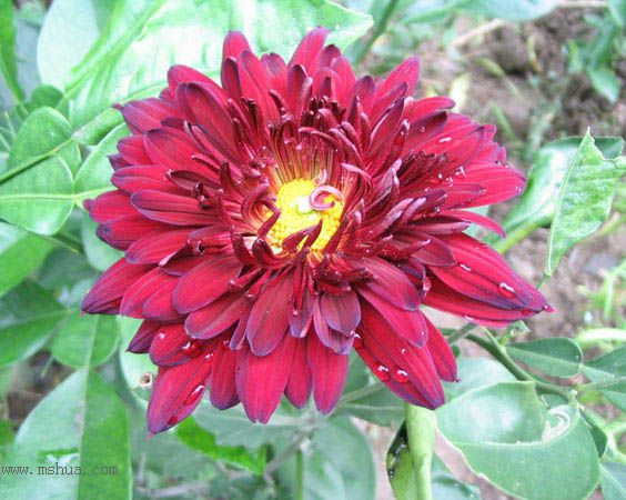 ����һ��ջ��ͷף�pp��P2��