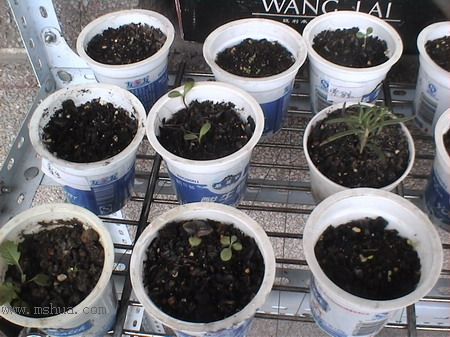 ����ϸ�㣬���������ã�