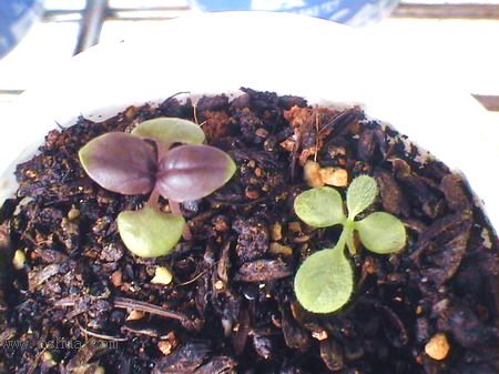 ����ϸ�㣬���������ã�