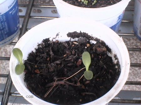 ����ϸ�㣬���������ã�