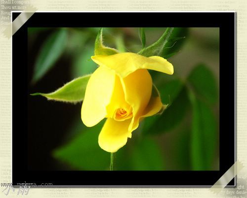 ���¼���,�����Ŷ