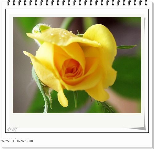 ���¼���,�����Ŷ