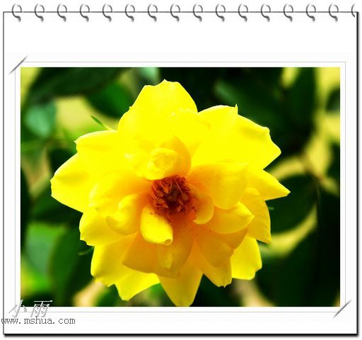 ���¼���,�����Ŷ