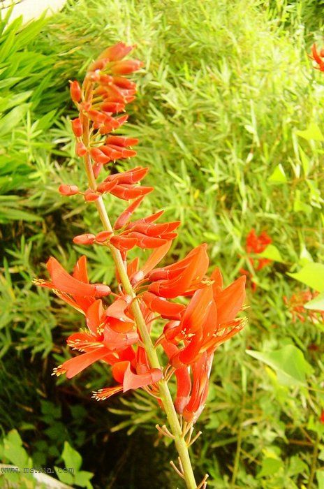 ��ũ��Ұ��