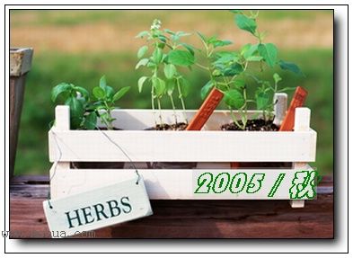 �������ղص��زĿ�