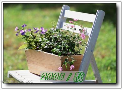 �������ղص��زĿ�