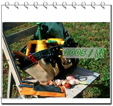 �������ղص��زĿ�