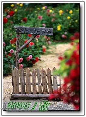 �������ղص��زĿ�