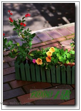 �������ղص��زĿ�