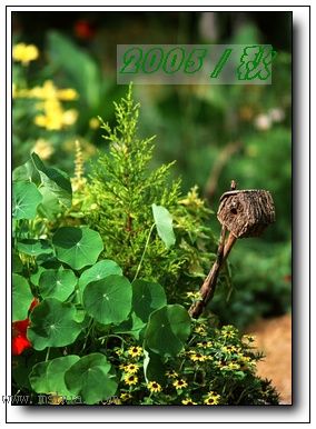 �������ղص��زĿ�