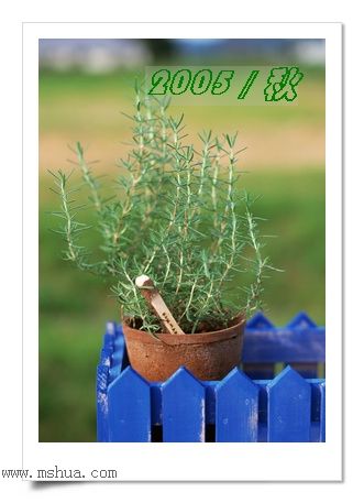 �������ղص��زĿ�