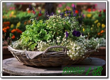 �������ղص��زĿ�