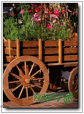 �������ղص��زĿ�