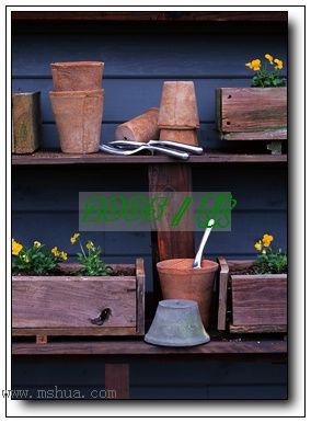 �������ղص��زĿ�