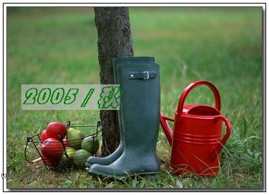 �������ղص��زĿ�