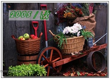 �������ղص��زĿ�