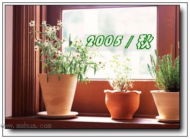 �������ղص��زĿ�