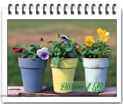 �������ղص��زĿ�