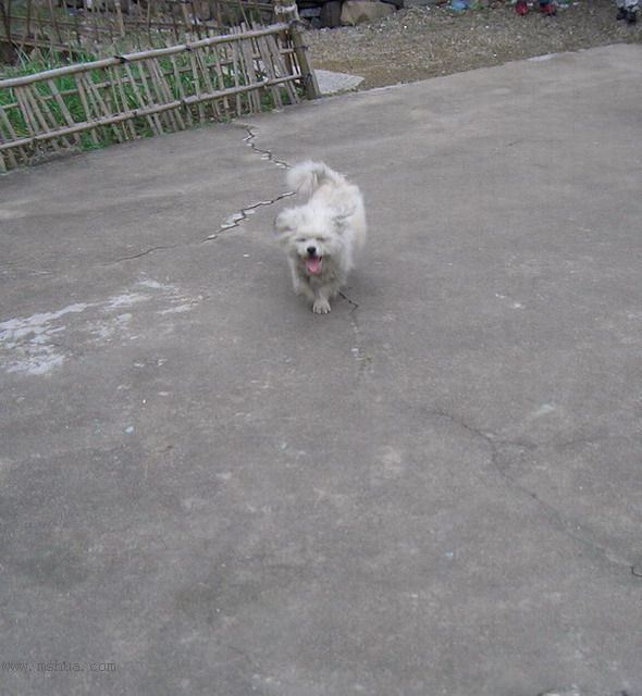 �ַŹ���һ����������������