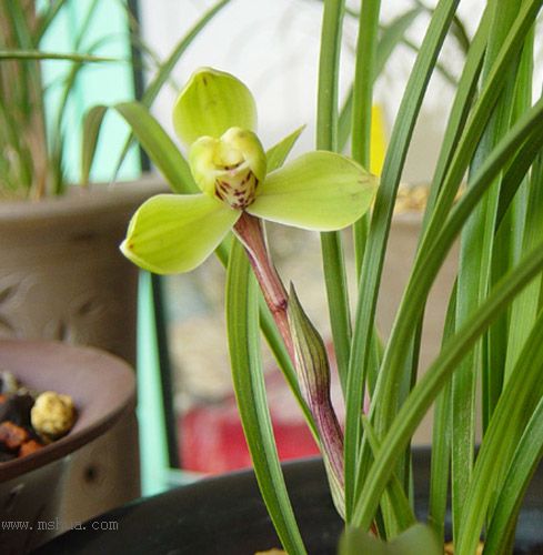 [����]������Ʒѡ