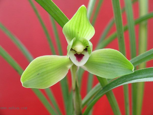 [����]������Ʒѡ