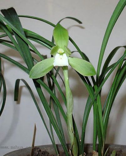 [����]������Ʒѡ