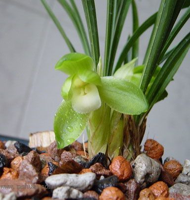 [����]������Ʒѡ