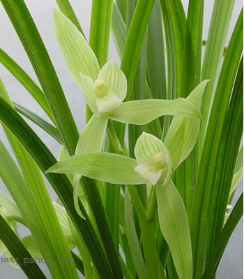 [����]���ꡢ������Ʒѡ