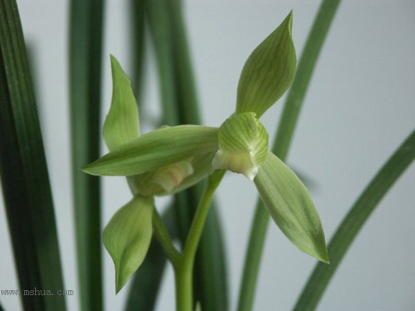 [����]���ꡢ������Ʒѡ