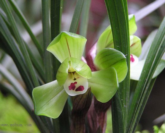 [����]������Ʒѡ