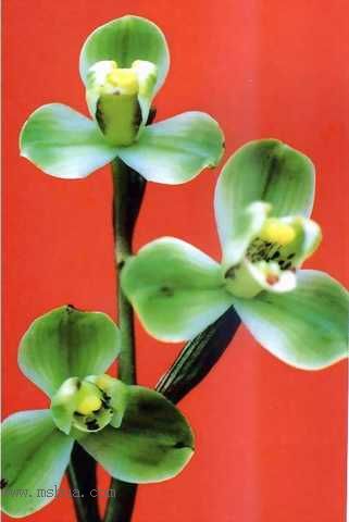 [����]���ꡢ������Ʒѡ