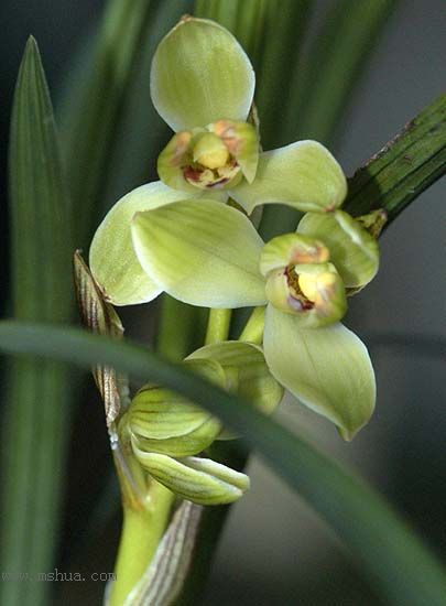 [����]���ꡢ������Ʒѡ