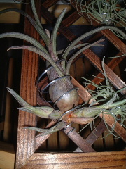 ��ѽ��ѽ��ѽ��ѽ��ѽ��ѽ~~~~