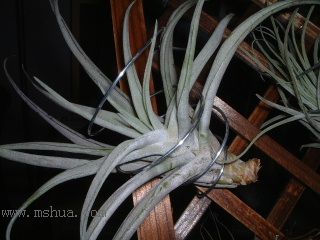 ��ѽ��ѽ��ѽ��ѽ��ѽ��ѽ~~~~