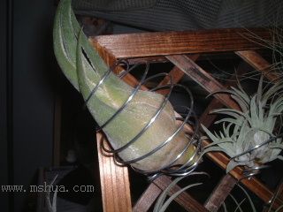 ��ѽ��ѽ��ѽ��ѽ��ѽ��ѽ~~~~