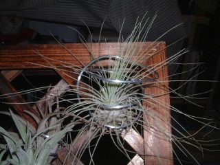 ��ѽ��ѽ��ѽ��ѽ��ѽ��ѽ~~~~