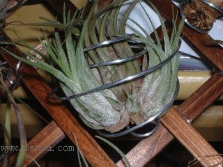 ��ѽ��ѽ��ѽ��ѽ��ѽ��ѽ~~~~