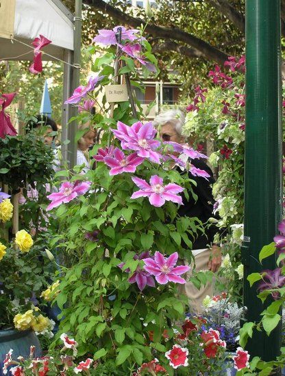 �Ǹ����ߵ�¥��