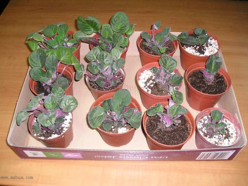 �������!!!!